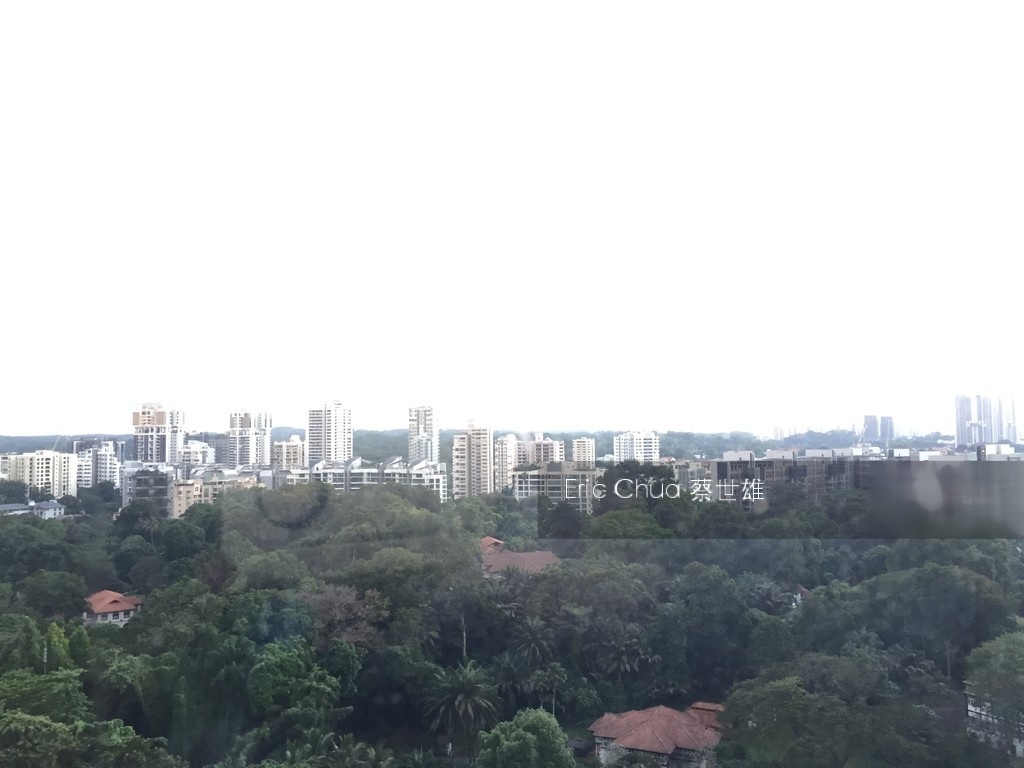 Scotts 28 (D9), Condominium #143980102